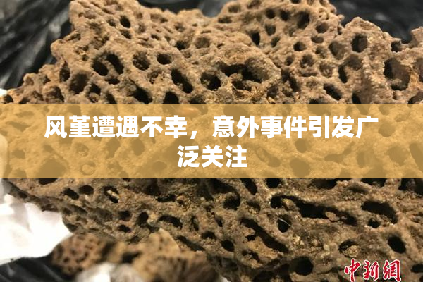 风堇遭遇不幸，意外事件引发广泛关注