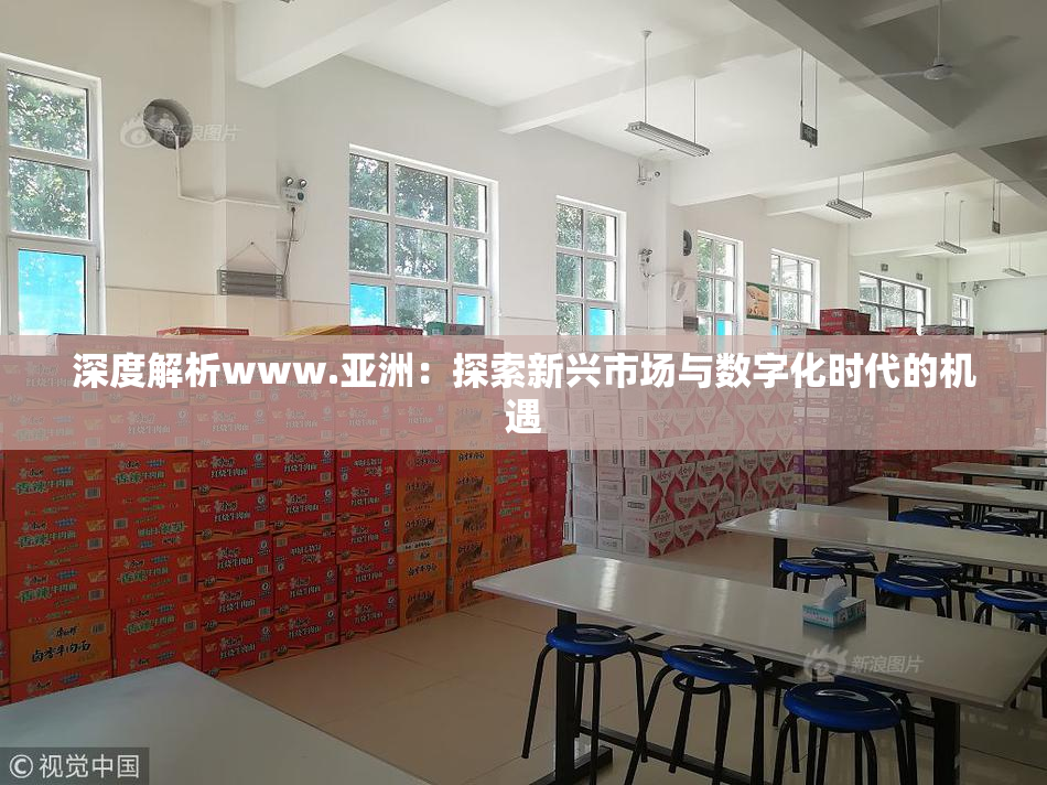 深度解析www.亚洲：探索新兴市场与数字化时代的机遇