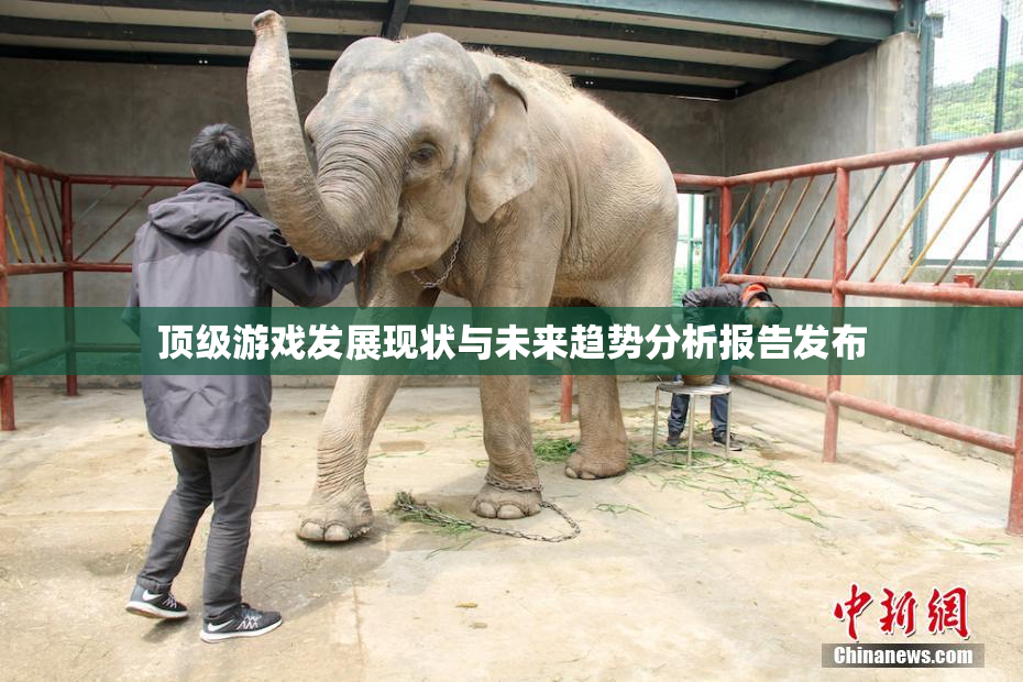 顶级游戏发展现状与未来趋势分析报告发布