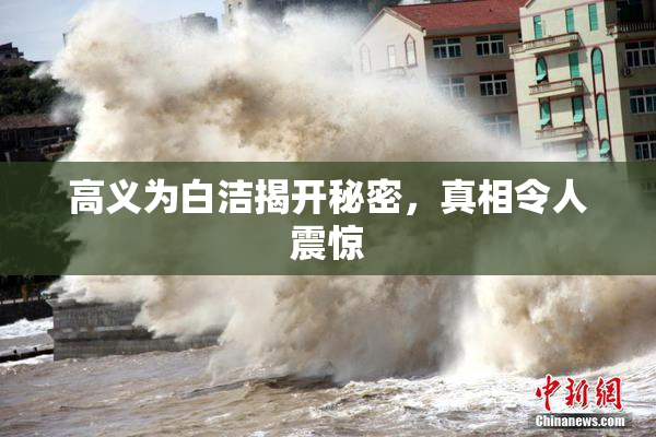 高义为白洁揭开秘密，真相令人震惊