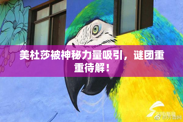 美杜莎被神秘力量吸引，谜团重重待解！