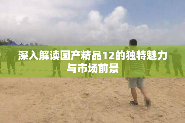 深入解读国产精品12的独特魅力与市场前景