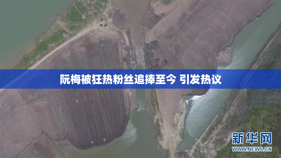 阮梅被狂热粉丝追捧至今 引发热议