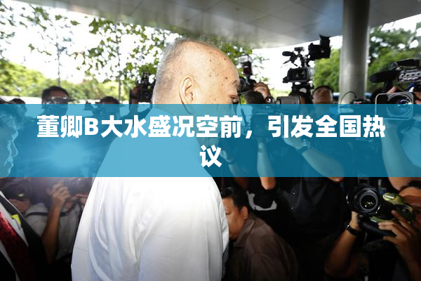 董卿B大水盛况空前，引发全国热议