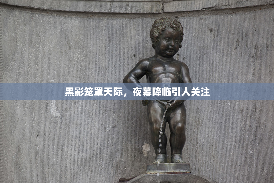 黑影笼罩天际，夜幕降临引人关注