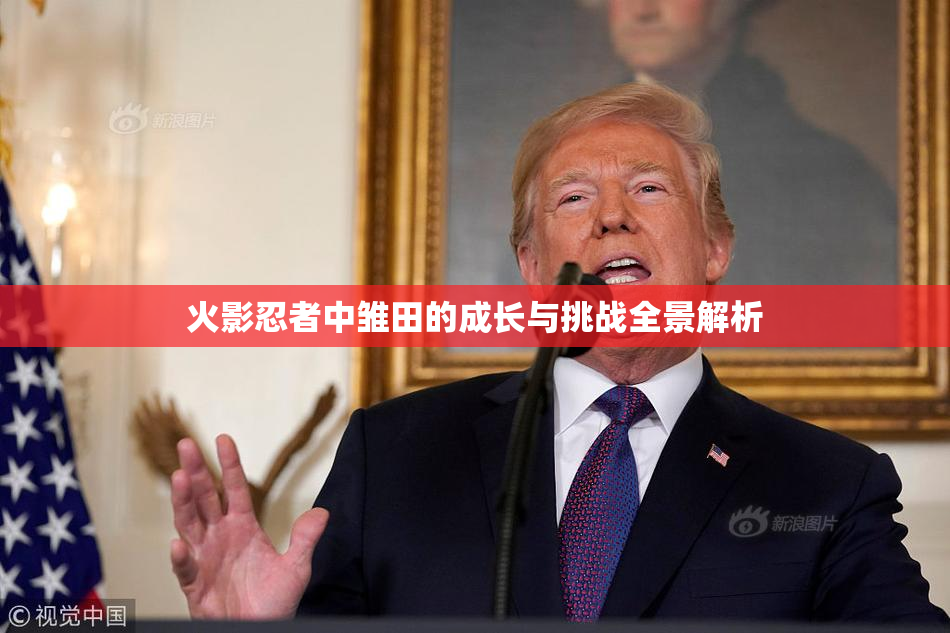 火影忍者中雏田的成长与挑战全景解析