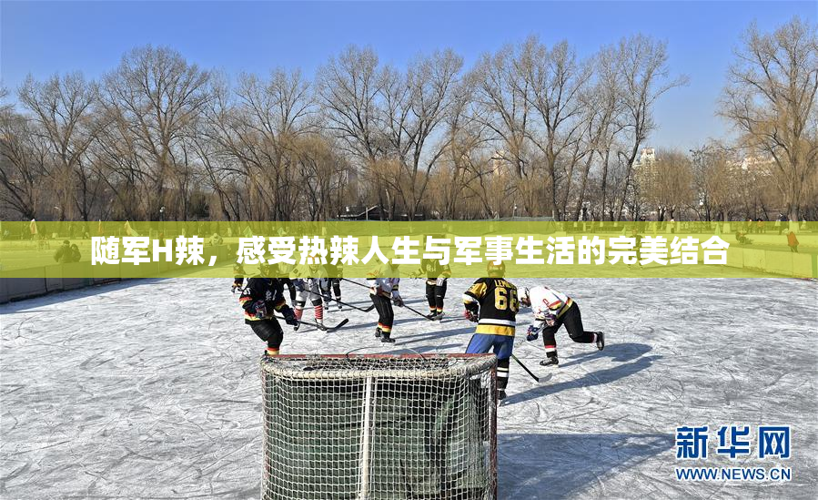 随军H辣，感受热辣人生与军事生活的完美结合
