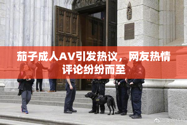 茄子成人AV引发热议，网友热情评论纷纷而至