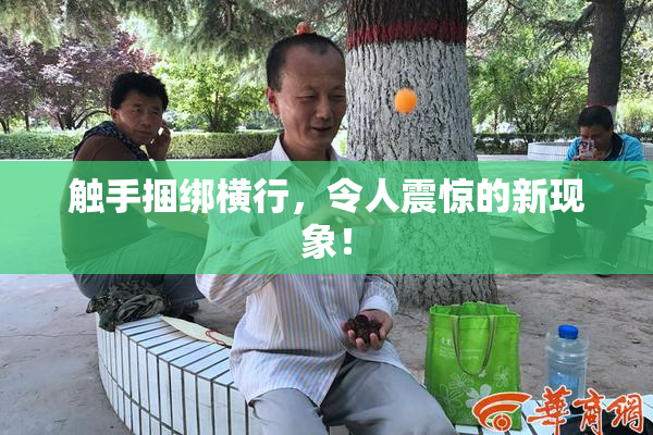 触手捆绑横行，令人震惊的新现象！