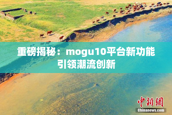 重磅揭秘：mogu10平台新功能引领潮流创新