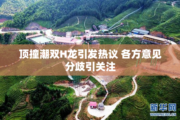 顶撞潮双H龙引发热议 各方意见分歧引关注