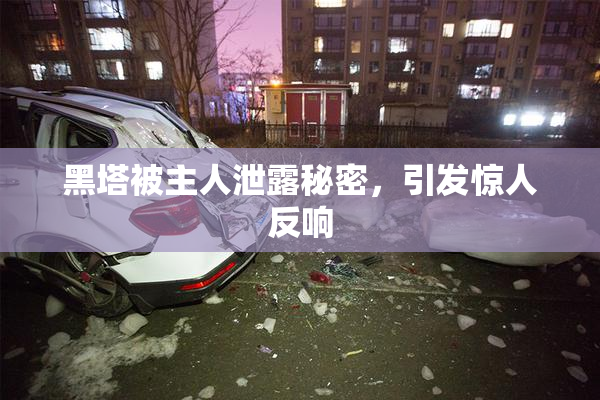 黑塔被主人泄露秘密，引发惊人反响