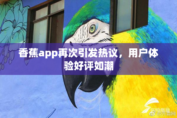 香蕉app再次引发热议，用户体验好评如潮
