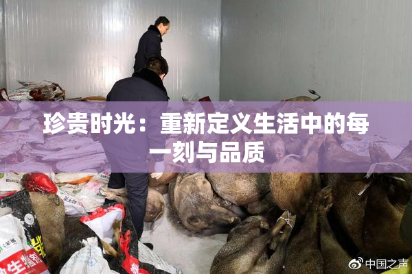 珍贵时光：重新定义生活中的每一刻与品质