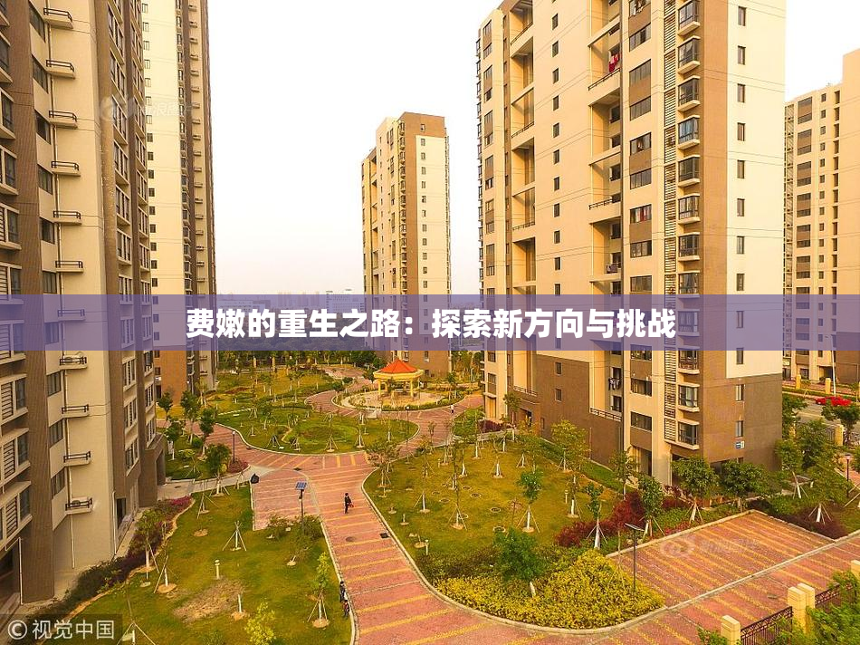费嫩的重生之路：探索新方向与挑战