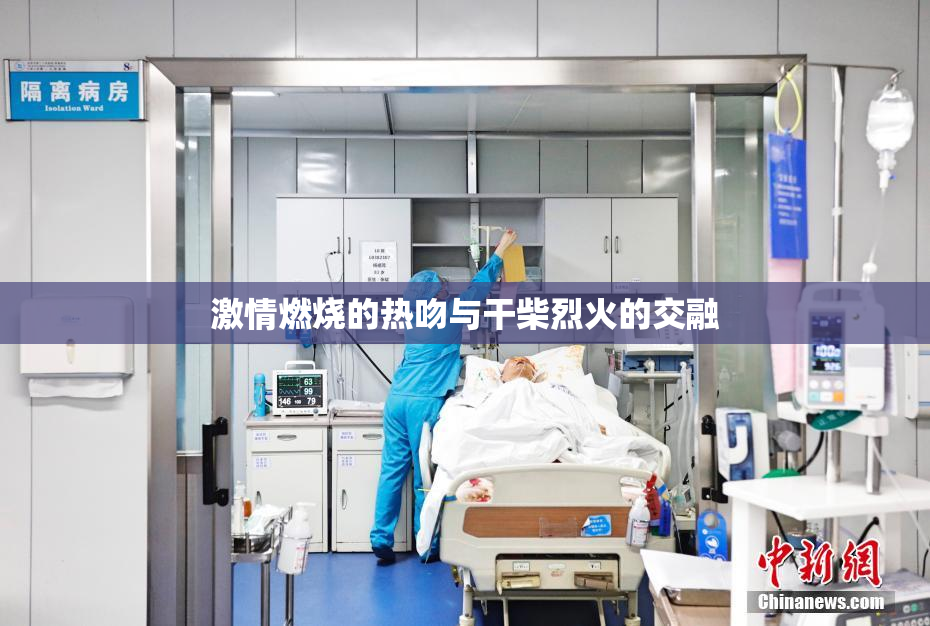 激情燃烧的热吻与干柴烈火的交融