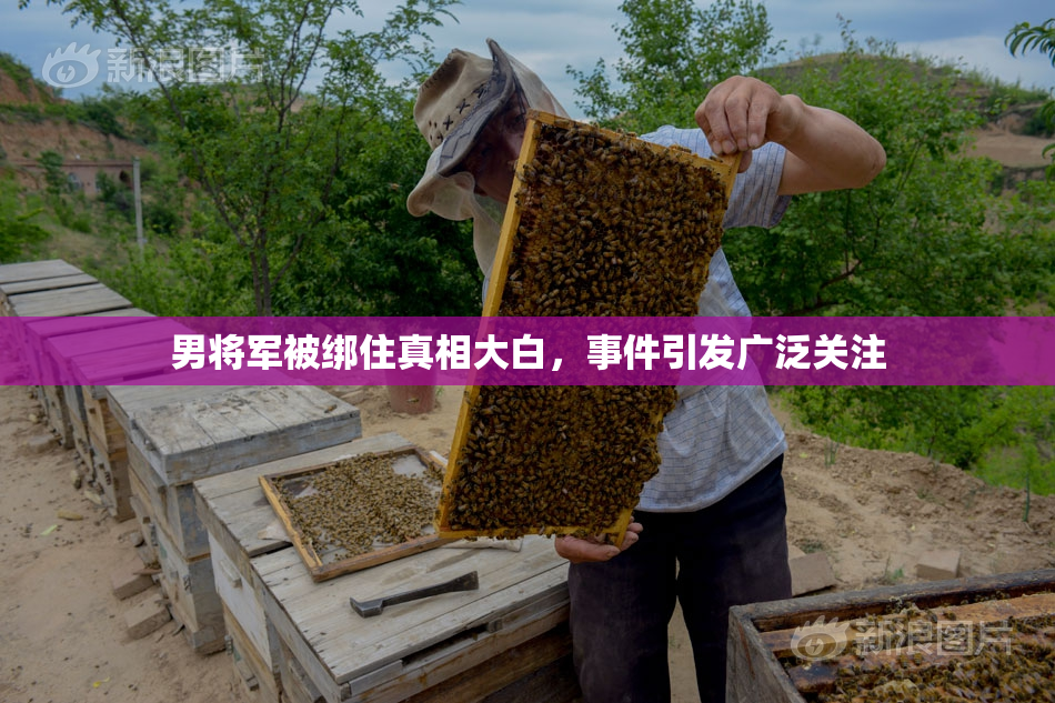 男将军被绑住真相大白，事件引发广泛关注