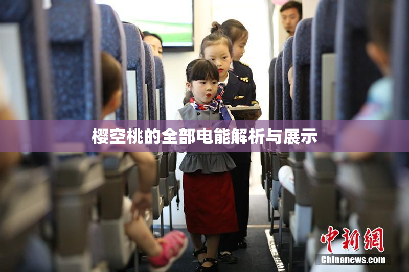 樱空桃的全部电能解析与展示
