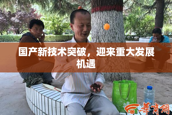 国产新技术突破，迎来重大发展机遇
