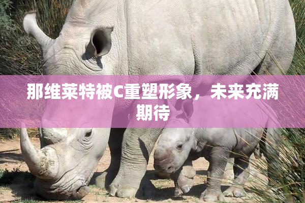 那维莱特被C重塑形象，未来充满期待
