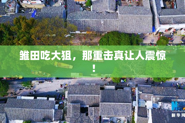 雏田吃大狙，那重击真让人震惊！