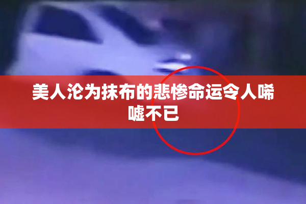 美人沦为抹布的悲惨命运令人唏嘘不已