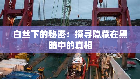 白丝下的秘密：探寻隐藏在黑暗中的真相