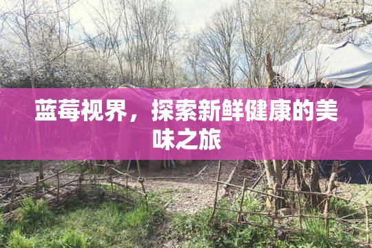 蓝莓视界，探索新鲜健康的美味之旅
