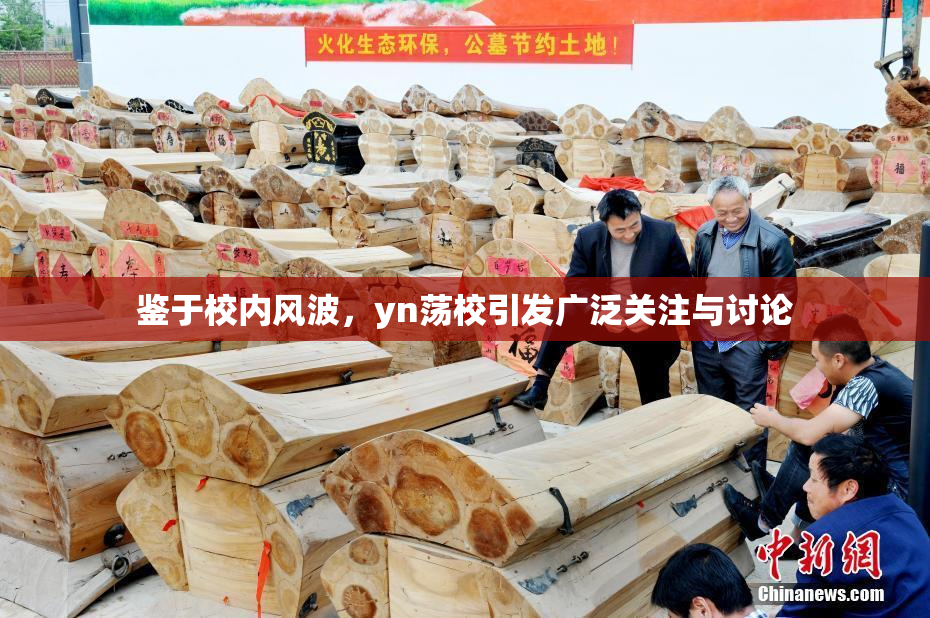 鉴于校内风波，yn荡校引发广泛关注与讨论