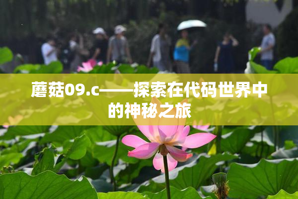 蘑菇09.c——探索在代码世界中的神秘之旅