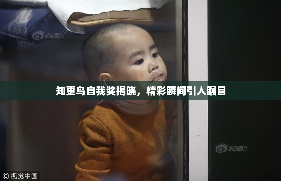 知更鸟自我奖揭晓，精彩瞬间引人瞩目