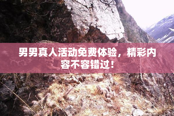 男男真人活动免费体验，精彩内容不容错过！
