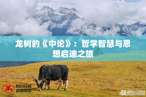 龙树的《中论》：哲学智慧与思想启迪之旅