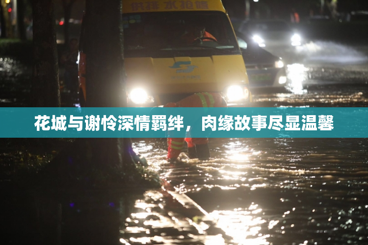 花城与谢怜深情羁绊，肉缘故事尽显温馨