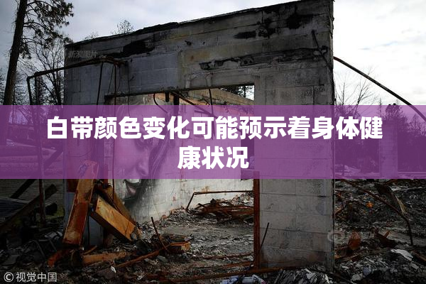 白带颜色变化可能预示着身体健康状况