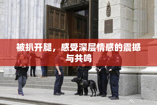 被扒开腿，感受深层情感的震撼与共鸣