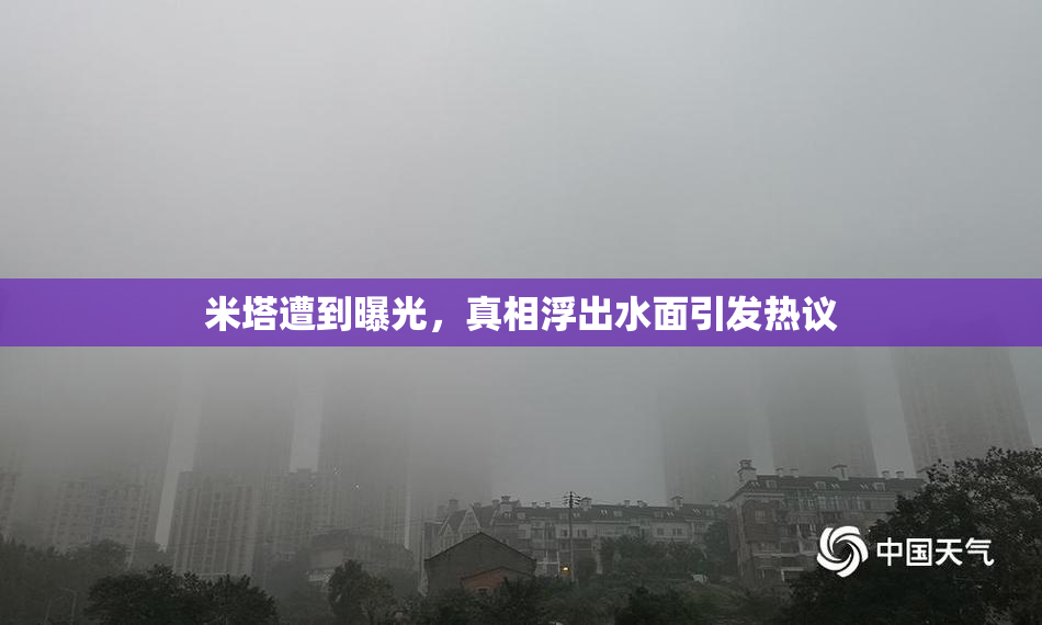 米塔遭到曝光，真相浮出水面引发热议