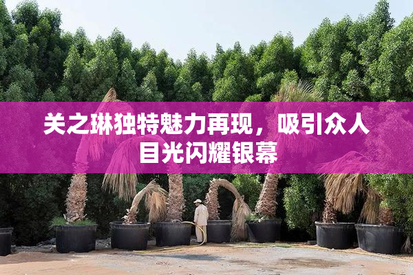 关之琳独特魅力再现，吸引众人目光闪耀银幕