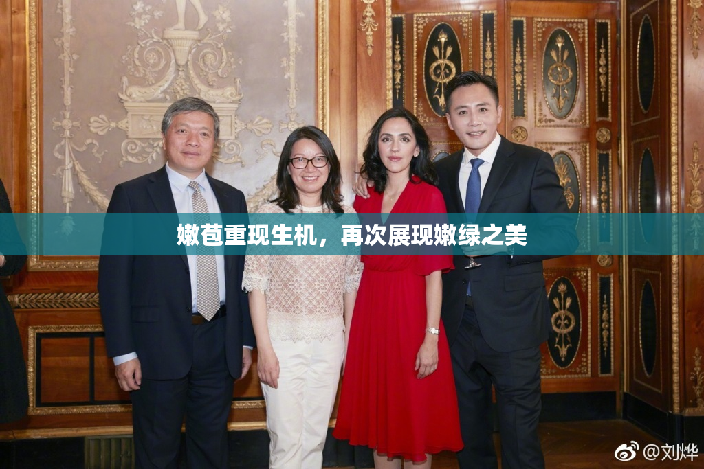 嫩苞重现生机，再次展现嫩绿之美