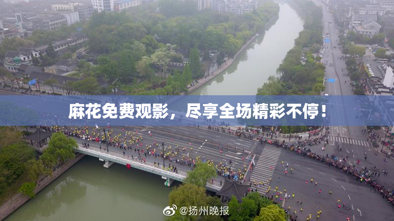 麻花免费观影，尽享全场精彩不停！