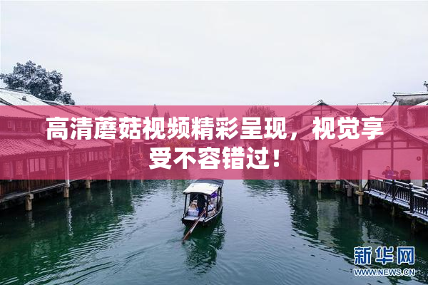 高清蘑菇视频精彩呈现，视觉享受不容错过！