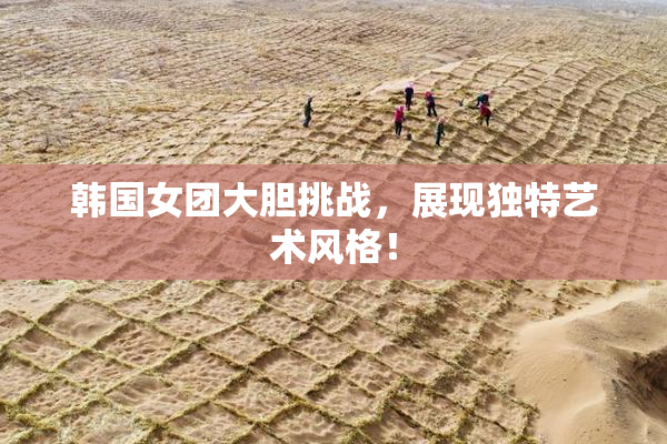 韩国女团大胆挑战，展现独特艺术风格！