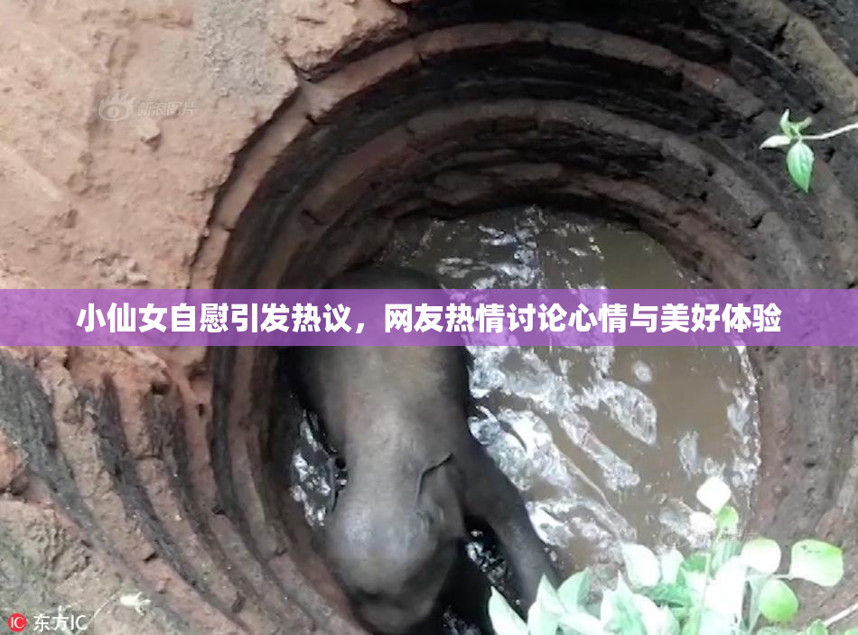小仙女自慰引发热议，网友热情讨论心情与美好体验