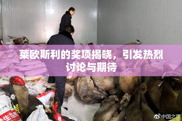 莱欧斯利的奖项揭晓，引发热烈讨论与期待