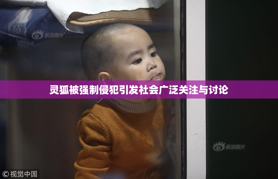 灵狐被强制侵犯引发社会广泛关注与讨论