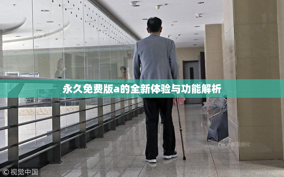永久免费版a的全新体验与功能解析