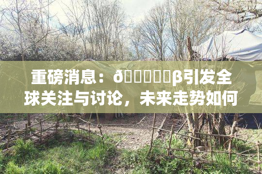 重磅消息：🍆❌‌β引发全球关注与讨论，未来走势如何？