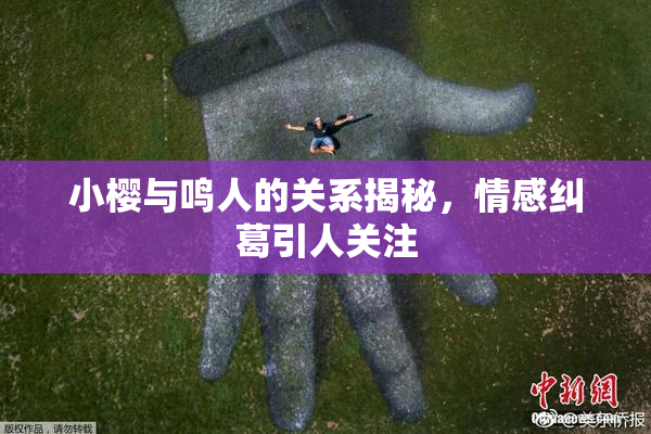小樱与鸣人的关系揭秘，情感纠葛引人关注
