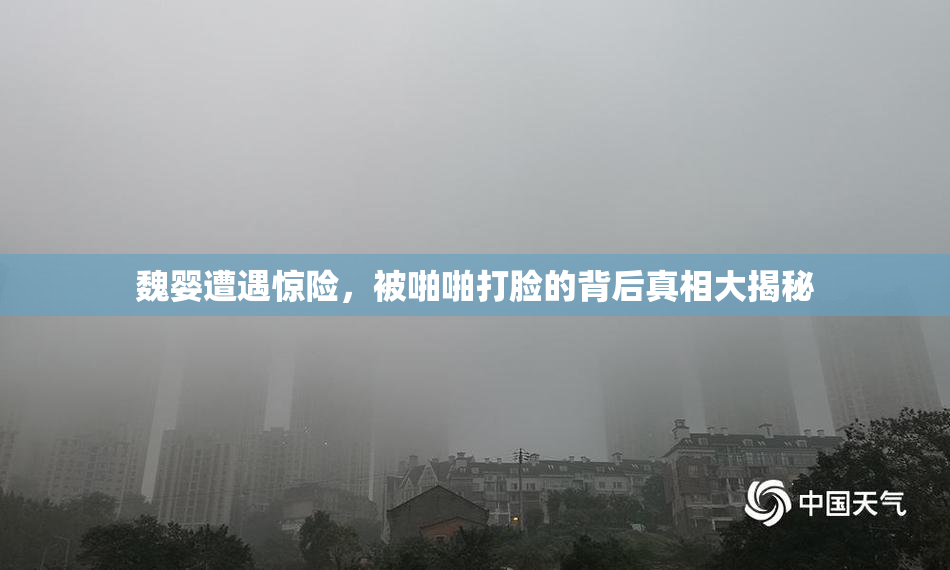魏婴遭遇惊险，被啪啪打脸的背后真相大揭秘