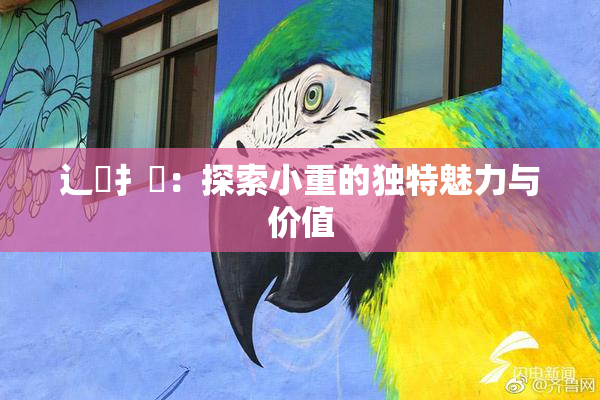 辶喿扌畐：探索小重的独特魅力与价值